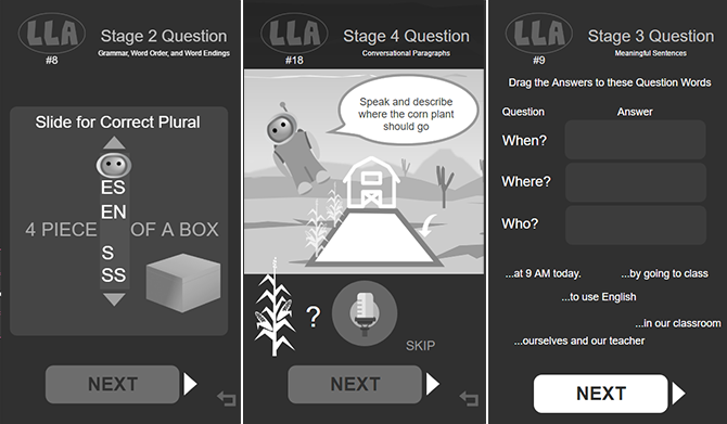 sample screens demonstrating possible interfaces for advanced questions and tests (Level 2, 3, 4)